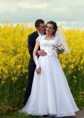 Rzepak ozimy DK Exquisite