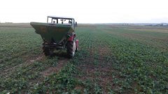 Rzepak ozimy NK technic