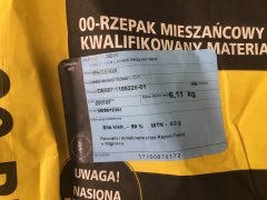 Rzepak phoenix cl materiał siewny