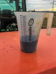 Rzepak sezon 2017 uważam za zamkniety