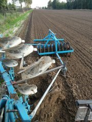 lemken 090 + wały