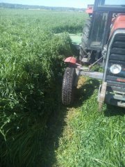 Barenbrug BG-3 Milkway Protein NUTRIFIBREnn