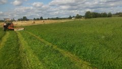 Mieszanka traw DSV 2401