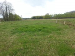 Pastwisko - efekt bale grazing