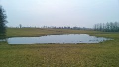 Rozlewisko na pastwisku