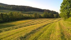 Sianokiszonka 2016 na Podhalu!