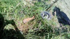 skorodowany moździerz na łące