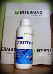 Nagroda: Aditens - Intermag