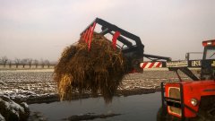 Krokodyl własnej roboty