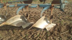 Overum + przedpłużki