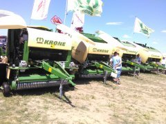 Krone