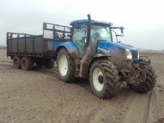 New Holland t6.175