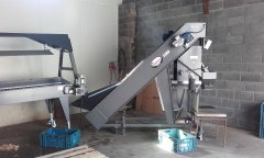 DOMASZ WAGOWORKOWNICA