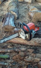Stihl MS230