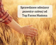 Sprawdzone odmiany pszenicy ozimej od Top Farms Nasiona