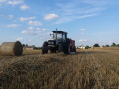 Lamborghini formula 115