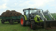 Claas Celtis 446 RX & Sanok D-50