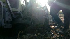 Zerwana opona Claas Axion 630