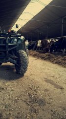 Yamaha grizzly 660