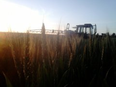 Case 745 s + Biardzki 800l