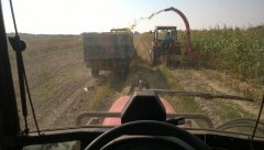 Same roller55, Ursus 2812, Massey Ferguson 255