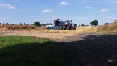 Bizon Bs z110 & Ursus 1634 & Autosan d47a rzepak 2016