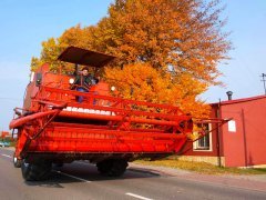 Bizon Super jesienią