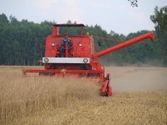 Bizon Super - miotła w zbożu