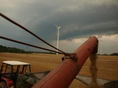 Bizon - wyładunek ziarna