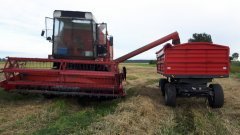 Bizon Z058 + Ifa Thk