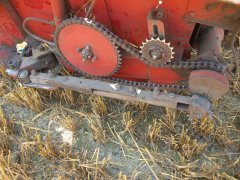 Drewniany targaniec w bizonie