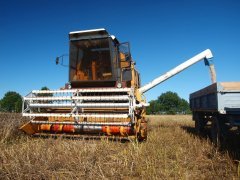 Eksportowa wersja Bizona Rekorda