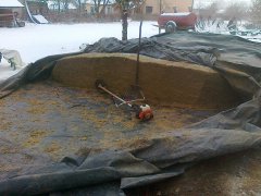 Kiszonka z kukurydzy