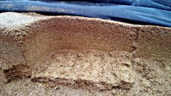 Kiszonka z Kukurydzy