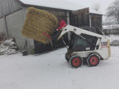 Bobcat S100