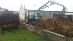 Wywóz obornika pod żyto hybrydowe