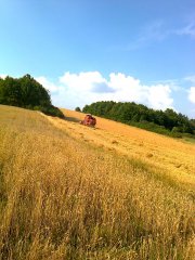 Case IH