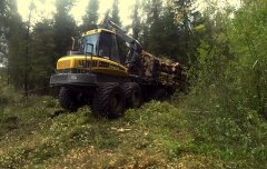 Forwarder Ponsse Elephant