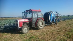 Massey Ferguson 240 + Ocmis R1/1