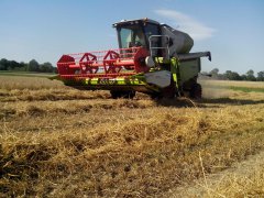 Claas Avero 160