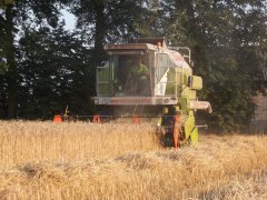 Claas Classic 88