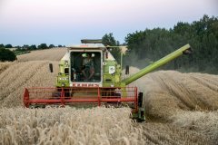 Claas Dominator 86