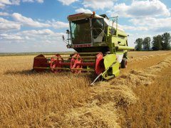 Claas Dominator 96