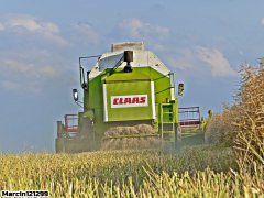 Claas Dominator 96