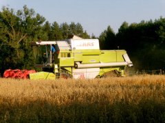 Claas Dominator 98