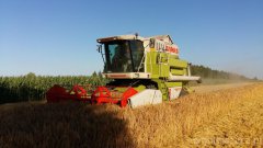 Claas Dominator VX88