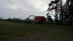 Claas Jaguar 830 i Ferguson & Lely