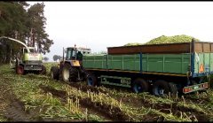 Claas Jaguar 830 i Renault 155.54.