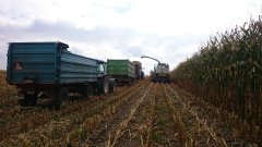 Claas Jaguar 840 - QQ na kiszonkę