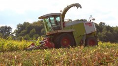 Claas Jaguar 860